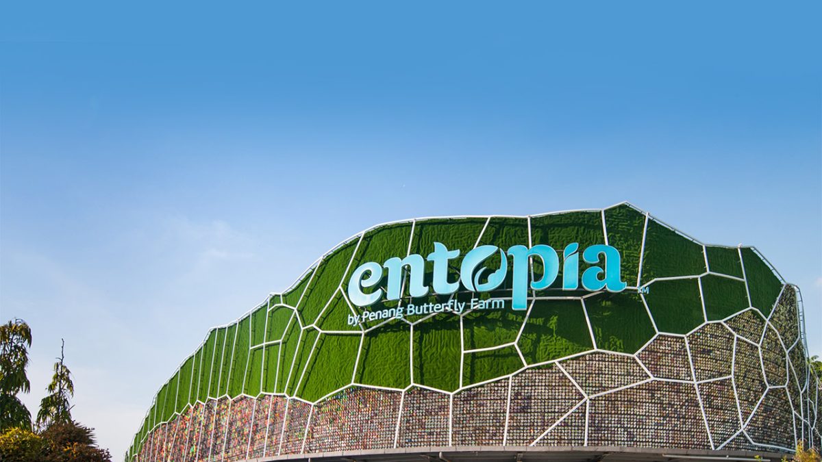 Entopia Butterfly Farm: The Colorful Escape in Penang!