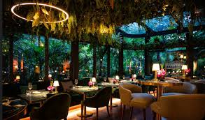 Experiential Dining Place 